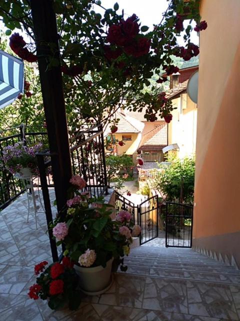 Gorazde-Centar Apartment Bagian luar foto