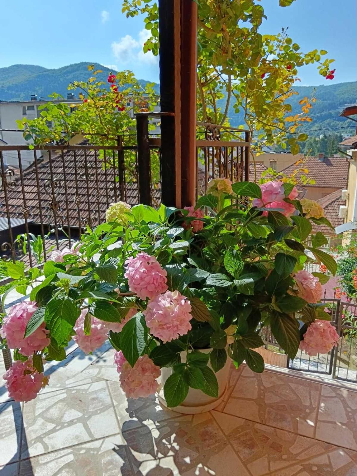 Gorazde-Centar Apartment Bagian luar foto